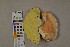  ( - O-F-75428)  @11 [ ] Unspecified (default): All Rights Reserved  Unspecified Unspecified