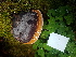  ( - O-F-215062)  @11 [ ] CreativeCommons  Attribution Non-Commercial (by-nc) (2022) Unspecified University of Oslo