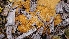  ( - TROM_F_26625)  @11 [ ] CreativeCommons - Attribution Non-Commercial Share-Alike (2018) Unspecified Tromsø University Museum