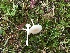  ( - TROM_F_26635)  @11 [ ] CreativeCommons - Attribution Non-Commercial Share-Alike (2018) Unspecified Tromsø University Museum