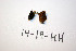  ( - O-F-256604)  @11 [ ] CreativeCommons - Attribution Non-Commercial Share-Alike (2019) Unspecified University of Oslo, Natural History Museum