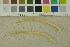  ( - O-F-256296)  @11 [ ] CreativeCommons - Attribution Non-Commercial Share-Alike (2018) Unspecified University of Oslo, Natural History Museum