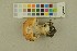  ( - O-F-256488)  @11 [ ] CreativeCommons - Attribution Non-Commercial Share-Alike (2019) Unspecified University of Oslo, Natural History Museum