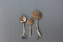  ( - NHMO-DFL-800)  @11 [ ] CreativeCommons - Attribution Non-Commercial Share-Alike (2015) Unspecified The Norwegian Institute for Nature Research