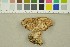  ( - O-F-251516)  @11 [ ] CreativeCommons - Attribution Non-Commercial Share-Alike (2016) Unspecified University of Oslo, Natural History Museum