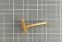  ( - O-F-258877)  @11 [ ] by-nc-sa (2021) Unspecified University of Oslo, Natural History Museum