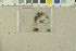  ( - O-F-259101)  @11 [ ] Unspecified (default): All Rights Reserved (2022) Unspecified University of Oslo, Natural History Museum
