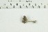 ( - O-F-259187)  @11 [ ] by-nc-sa (2022) Unspecified University of Oslo, Natural History Museum