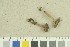  ( - O-F-259202)  @11 [ ] by-nc-sa (2022) Unspecified University of Oslo, Natural History Museum
