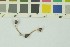  ( - O-F-259239)  @11 [ ] Unspecified (default): All Rights Reserved (2022) Unspecified University of Oslo, Natural History Museum