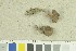  ( - O-F-259254)  @11 [ ] by-nc-sa (2022) Unspecified University of Oslo, Natural History Museum