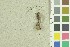  ( - O-F-259262)  @11 [ ] by-nc-sa (2022) Unspecified University of Oslo, Natural History Museum