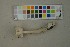  ( - O-F-259331)  @11 [ ] by-nc-sa (2023) Unspecified University of Oslo, Natural History Museum