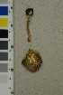  ( - O-F-260726)  @11 [ ] by-nc-sa (2025) Unspecified University of Oslo, Natural History Museum