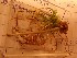  ( - O-F-260739)  @11 [ ] by-nc-sa (2025) Unspecified University of Oslo, Natural History Museum
