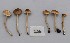  ( - O-F-260756)  @11 [ ] by-nc-sa (2025) Unspecified University of Oslo, Natural History Museum