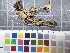  ( - O-F-22207)  @11 [ ] CreativeCommons - Attribution Non-Commercial Share-Alike (2017) Unspecified University of Oslo, Natural History Museum