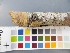  (Phlebia albida - O-F-22554)  @11 [ ] CreativeCommons - Attribution Non-Commercial Share-Alike (2017) Unspecified University of Oslo, Natural History Museum