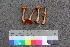  ( - TROM_F_26543)  @11 [ ] CreativeCommons - Attribution Non-Commercial Share-Alike (2018) Unspecified Tromsø University Museum