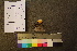  ( - TROM_F_26540)  @11 [ ] CreativeCommons - Attribution Non-Commercial Share-Alike (2018) Unspecified Tromsø University Museum