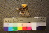  ( - TROM_F_26540)  @11 [ ] CreativeCommons - Attribution Non-Commercial Share-Alike (2018) Unspecified Tromsø University Museum