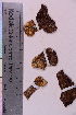  ( - TROM_F_5094)  @11 [ ] CreativeCommons - Attribution Non-Commercial Share-Alike (2018) Unspecified Tromsø University Museum