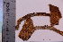  ( - TROM_F_5111)  @11 [ ] CreativeCommons - Attribution Non-Commercial Share-Alike (2018) Unspecified Tromsø University Museum