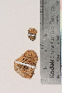  ( - TROM-F-5914)  @11 [ ] CreativeCommons - Attribution Non-Commercial Share-Alike (2018) Unspecified Tromsø University Museum