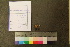  ( - TROM_F_26546)  @11 [ ] CreativeCommons - Attribution Non-Commercial Share-Alike (2018) Unspecified Tromsø University Museum