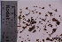  ( - TROM_F_12919)  @11 [ ] CreativeCommons - Attribution Non-Commercial Share-Alike (2018) Unspecified Tromsø University Museum