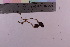  ( - TROM_F_13204)  @11 [ ] CreativeCommons - Attribution Non-Commercial Share-Alike (2018) Unspecified Tromsø University Museum