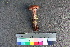  ( - TROM_F_26575)  @11 [ ] CreativeCommons - Attribution Non-Commercial Share-Alike (2018) Unspecified Tromsø University Museum
