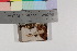  ( - TROM_F_16158)  @11 [ ] CreativeCommons - Attribution Non-Commercial Share-Alike (2017) Unspecified Tromsø University Museum