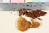  ( - TROM_F_17037)  @11 [ ] CreativeCommons - Attribution Non-Commercial Share-Alike (2016) Unspecified Tromsø University Museum