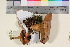  ( - TROM_F_17047)  @11 [ ] CreativeCommons - Attribution Non-Commercial Share-Alike (2016) Unspecified Tromsø University Museum