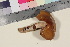  ( - TROM_F_17052)  @11 [ ] CreativeCommons - Attribution Non-Commercial Share-Alike (2016) Unspecified Tromsø University Museum