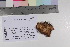  ( - TROM_F_17266)  @11 [ ] CreativeCommons - Attribution Non-Commercial Share-Alike (2017) Unspecified Tromsø University Museum