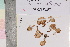  ( - TROM-F-21350)  @11 [ ] CreativeCommons - Attribution Non-Commercial Share-Alike (2018) Unspecified Tromsø University Museum