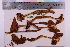  ( - TROM_F_22657)  @11 [ ] CreativeCommons - Attribution Non-Commercial Share-Alike (2018) Unspecified Tromsø University Museum