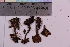  ( - TROM_F_22843)  @11 [ ] CreativeCommons - Attribution Non-Commercial Share-Alike (2018) Unspecified Tromsø University Museum