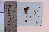  ( - TROM_F_31117)  @11 [ ] CreativeCommons - Attribution Non-Commercial Share-Alike (2018) Unspecified Tromsø University Museum