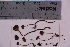  ( - TROM_F_31119)  @11 [ ] CreativeCommons - Attribution Non-Commercial Share-Alike (2018) Unspecified Tromsø University Museum
