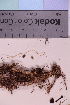  ( - TROM_F_33554)  @11 [ ] CreativeCommons - Attribution Non-Commercial Share-Alike (2019) Unspecified Tromsø University Museum