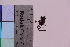  ( - TROM_F_33924)  @11 [ ] CreativeCommons - Attribution Non-Commercial Share-Alike (2019) Unspecified Tromsø University Museum
