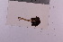  ( - TROM_F_34769)  @11 [ ] CreativeCommons - Attribution Non-Commercial Share-Alike (2018) Unspecified Tromsø University Museum