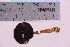  ( - TROM_F_570)  @11 [ ] CreativeCommons - Attribution Non-Commercial Share-Alike (2018) Unspecified Tromsø University Museum