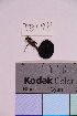  ( - TROM_F_6595)  @11 [ ] CreativeCommons - Attribution Non-Commercial Share-Alike (2018) Unspecified Tromsø University Museum