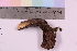  ( - TROM_F_7664)  @11 [ ] CreativeCommons - Attribution Non-Commercial Share-Alike (2019) Unspecified Tromsø University Museum