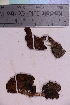  ( - TROM_F_8414)  @11 [ ] CreativeCommons - Attribution Non-Commercial Share-Alike (2018) Unspecified Tromsø University Museum