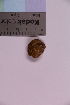  ( - TROM_F_POR-20)  @11 [ ] CreativeCommons - Attribution Non-Commercial Share-Alike (2018) Unspecified Tromsø University Museum